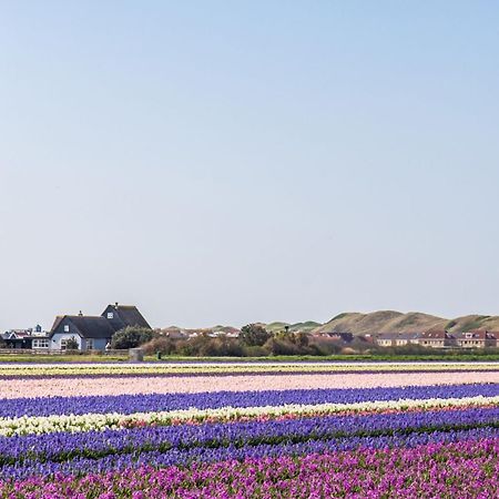 Duinland 251 - Park Duinland Sint Maartenszee Sint Maartensvlotbrug Экстерьер фото